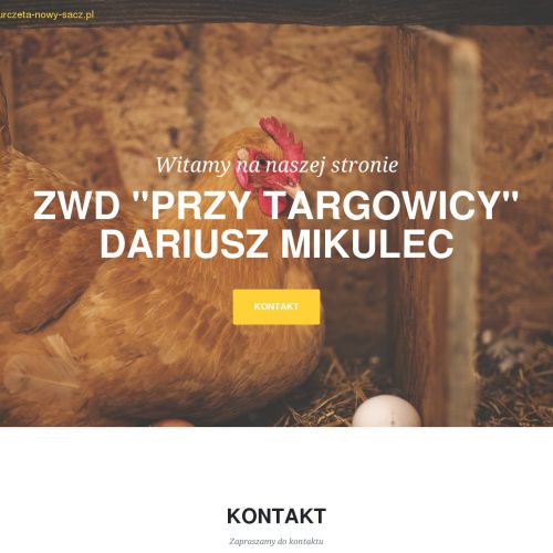 Nowy Sącz - kury małopolskie