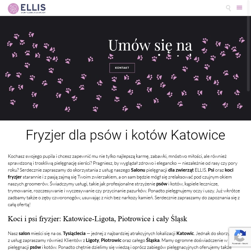 Katowice - psi fryzjer siemianowice