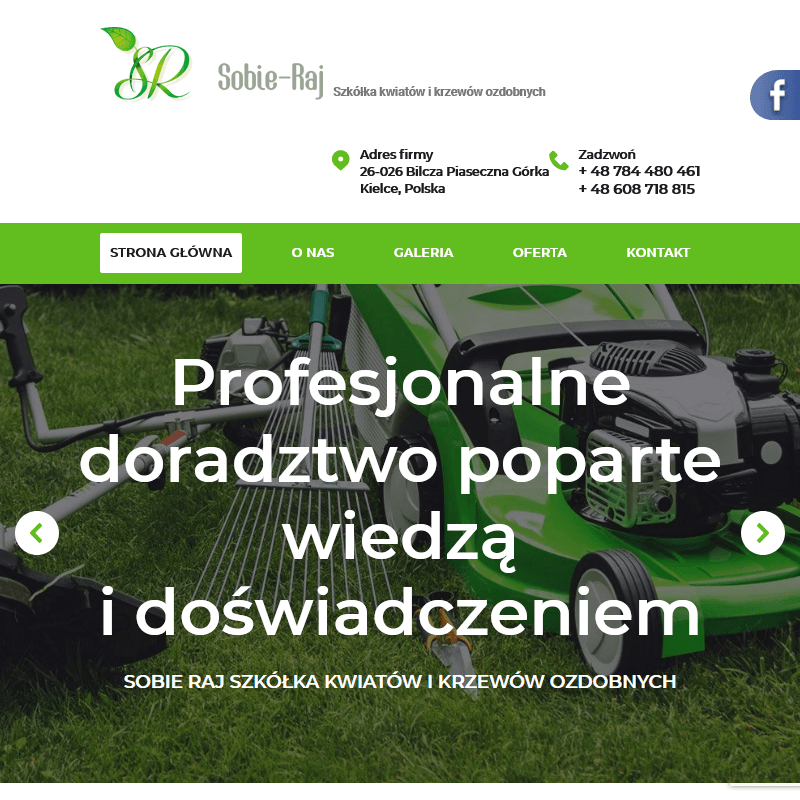 Tuja szmaragd do ogrodu - Kielce